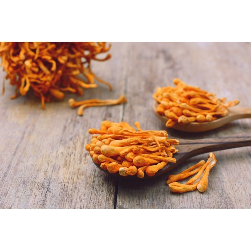 Cordyceps Mushroom Essence