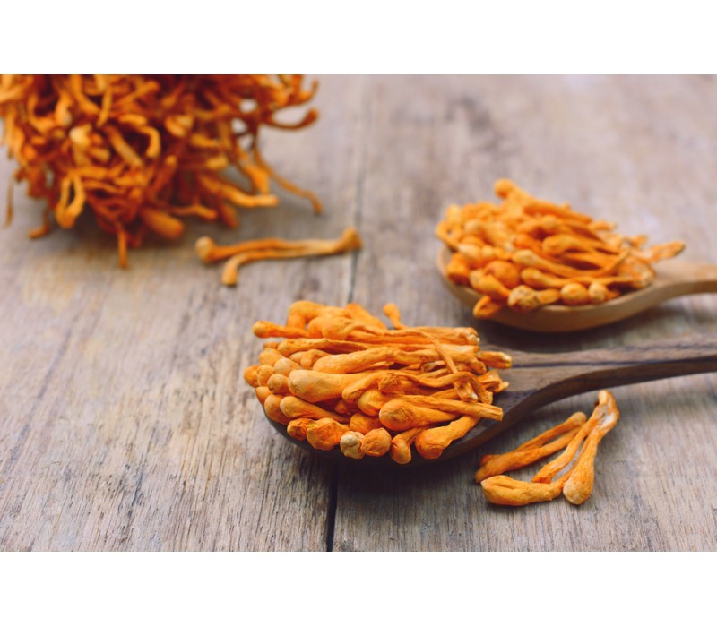 Cordyceps Mushroom Essence